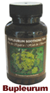Bupleurum Soothing Tea