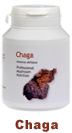 Chaga
