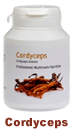 Cordyceps