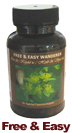 Free and Easy Wanderer