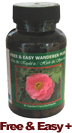 Free and Easy Wanderer Plus
