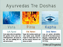 Ayurvedas olika kroppstyper