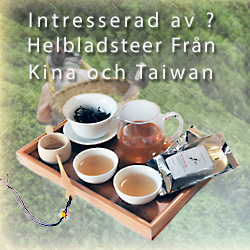 Te kurs att brygga fina teer med Gong Fu metoden från Kina