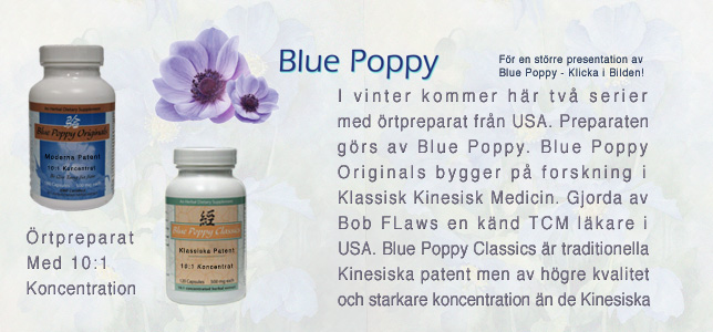 Blue Poppy Örtpreparat kommer här i Vinter